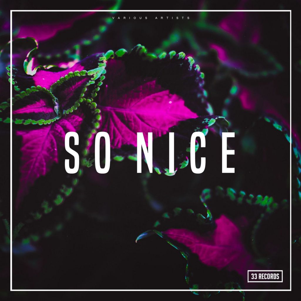 VA - So Nice [3REC102]